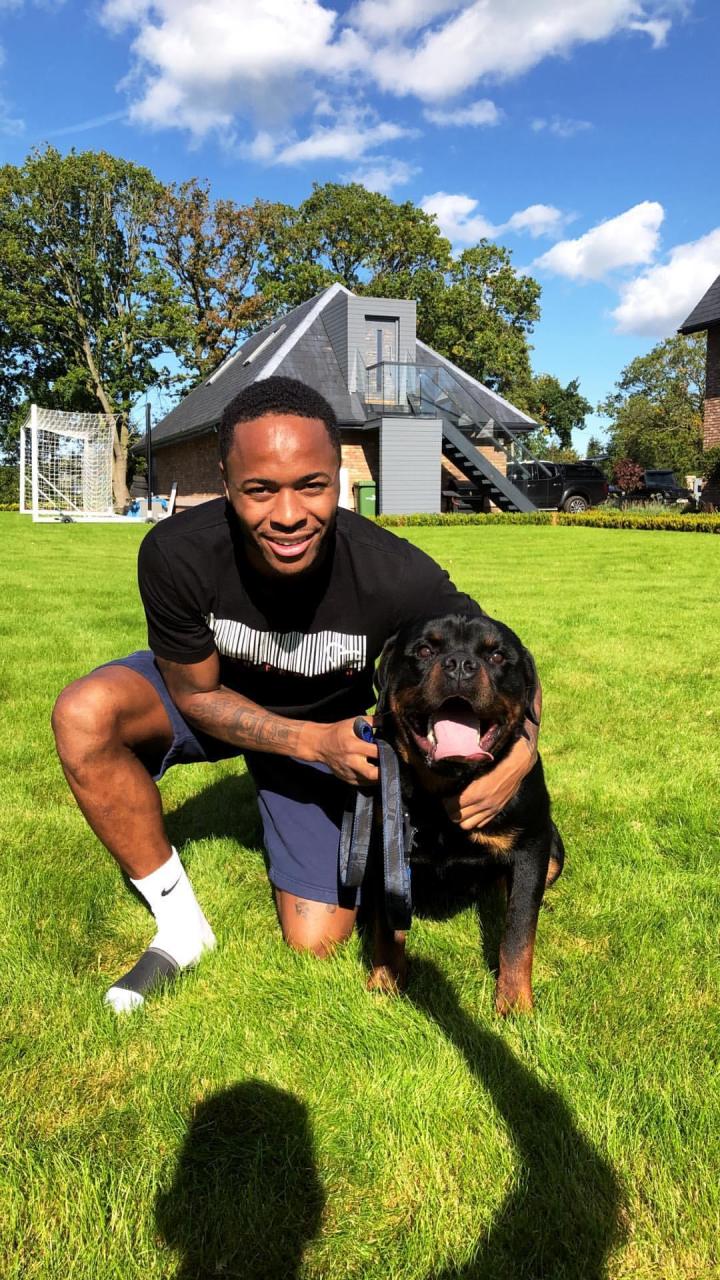 Raheem Sterling buys £15k guard dog to protect his family at £2million Cheshire mansion | The Sun