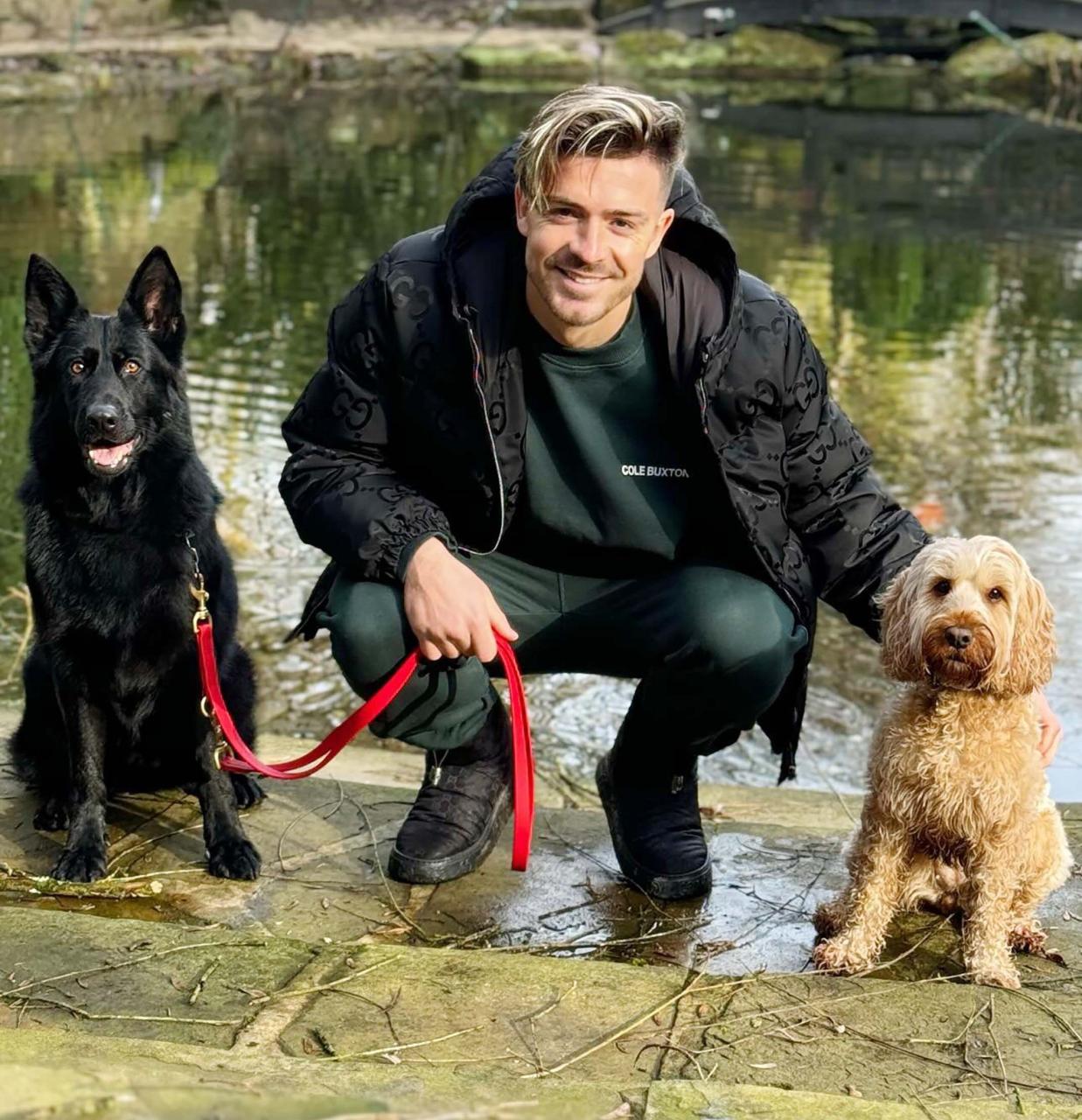 Jack Grealish poses with his £25,000 Belgian Malinois protection dog in a 'show of strength' after his burglary ordeal.