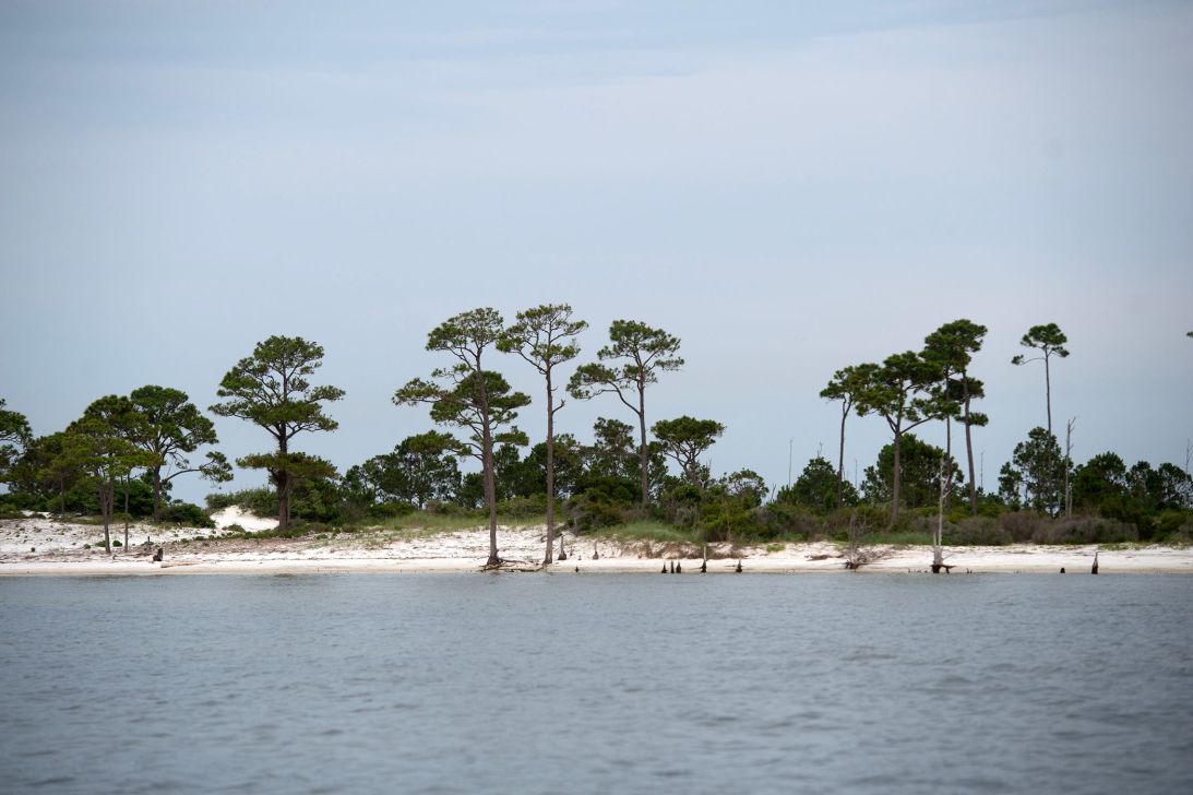 Horn Island, a Mississippi Gulf Coast barrier island south of Ocean Springs, Mississippi, is seen on May 21, 2025.