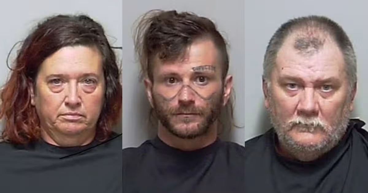 Mugshots show suspects Melissa Keal, 50, Jordan Tyler Wilson, 30, and John Keal, 52