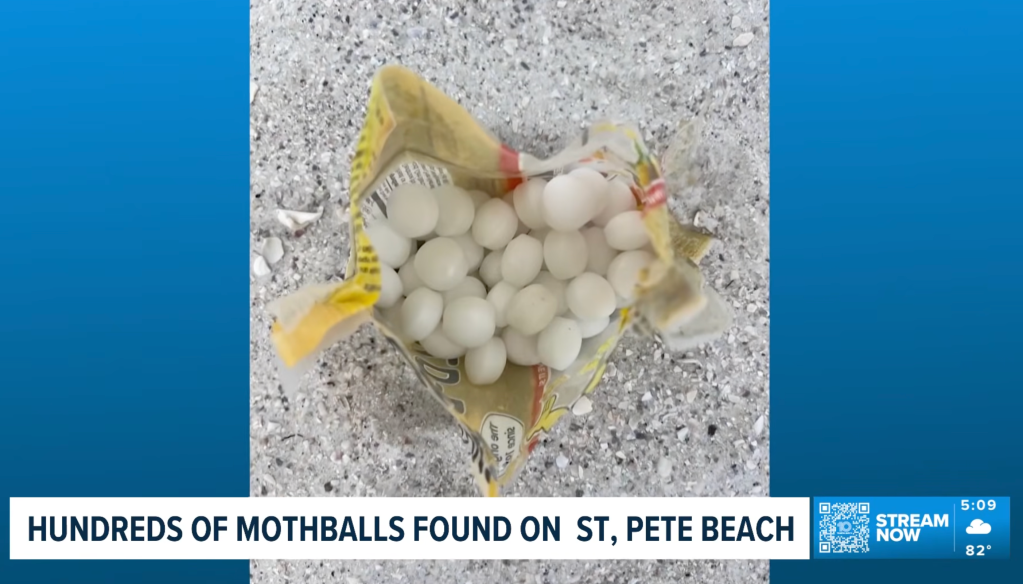 Czyszczon spent about $60 buying "a large quantity" of mothballs at a Walmart.