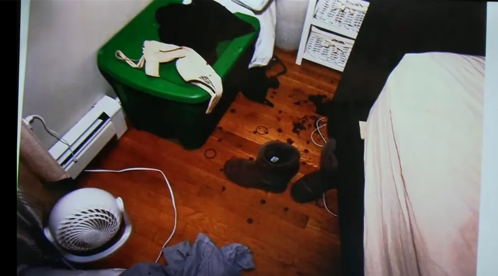 Bloodstains and shoes on a bedroom floor near a green hamper, as presented in court.