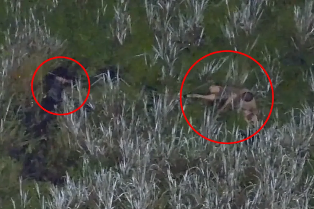 Isaac Kinsey crawls through a swamp with two children after a DUI crash in Lakeland, Florida.