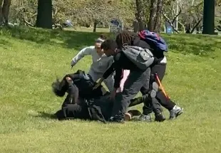 Four people fighting on a grassy hill.