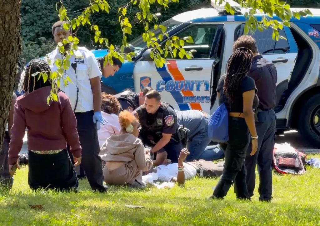 Police and security personnel attend to people on the ground in a grassy area with a police car in the background.