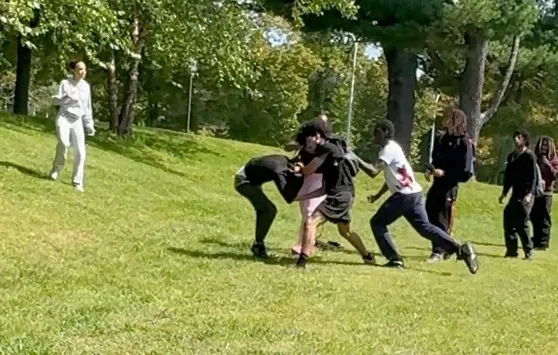 A group of people fighting on a grassy hill, with others observing nearby.