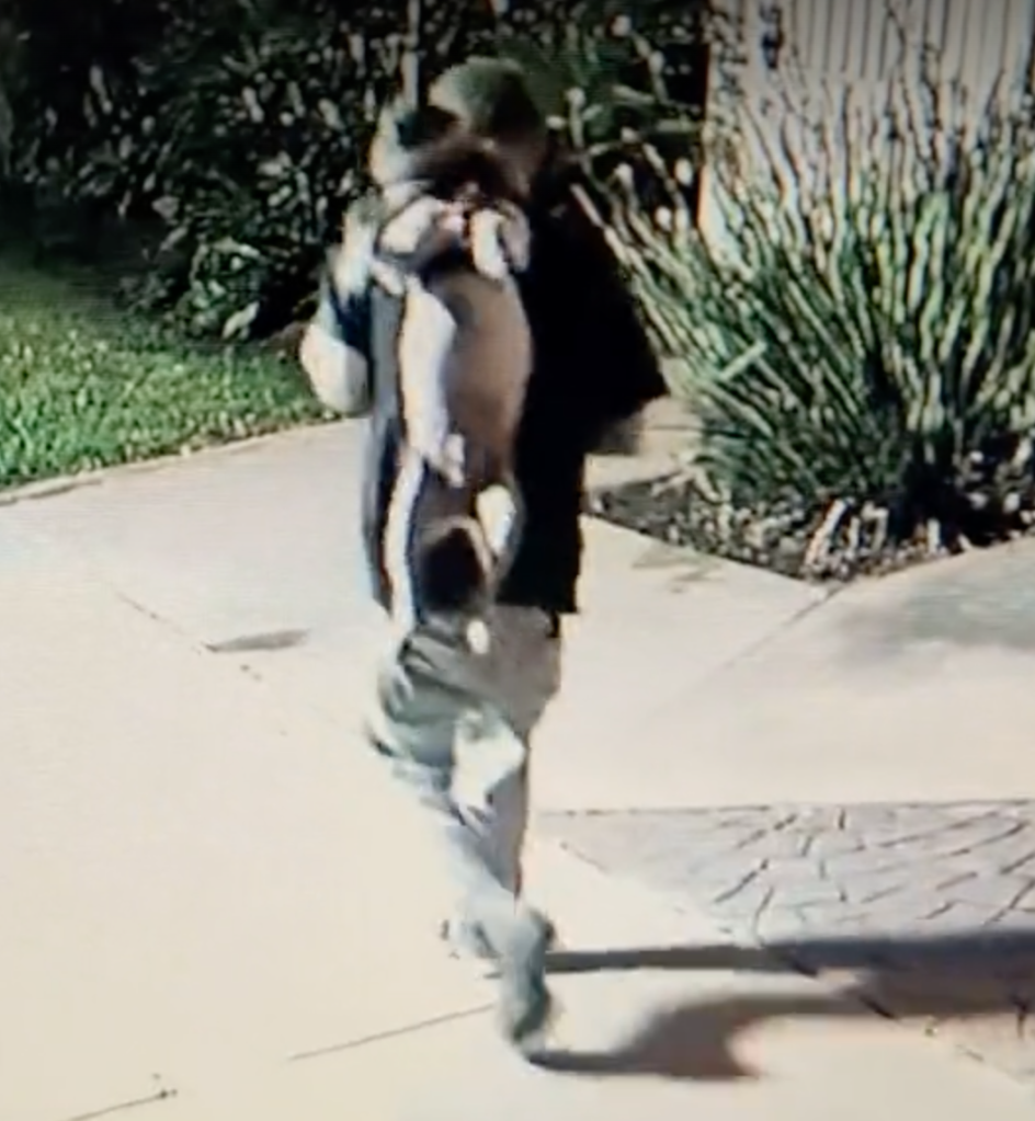 A man appearing to harm a small dog near a dock.