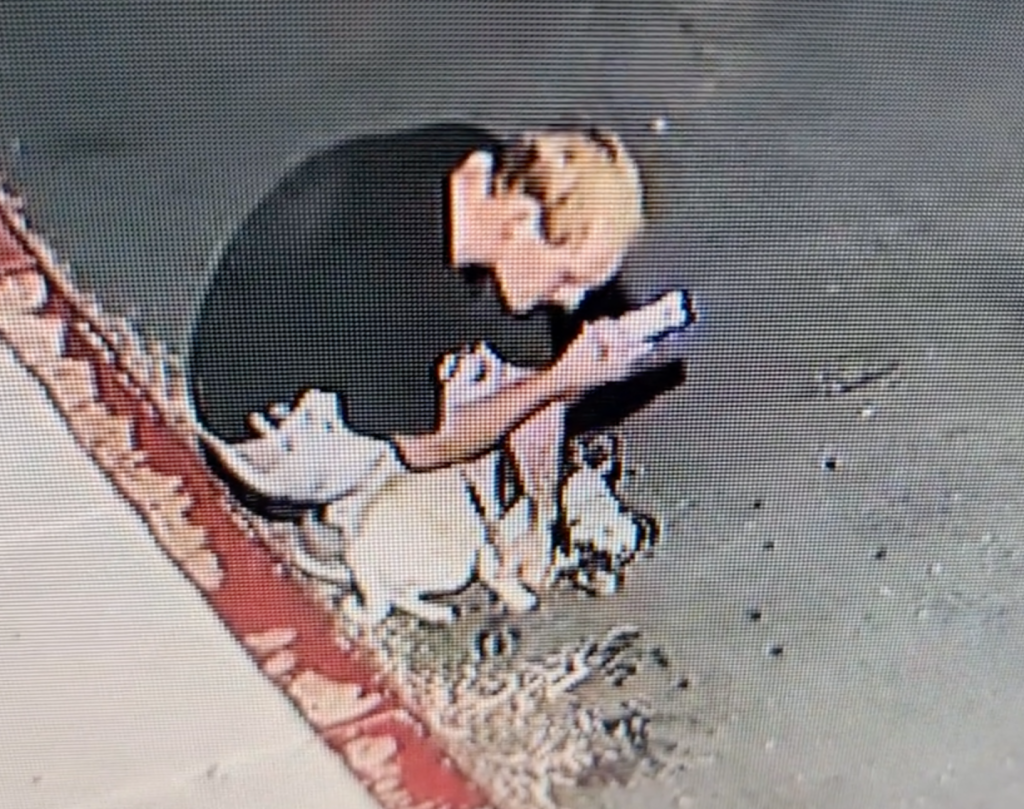 Image from a video showing a man appearing to harm a small dog near a dock.