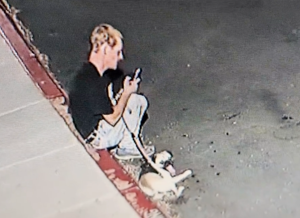 A man appearing to harm a small dog near a dock in Huntington Beach.