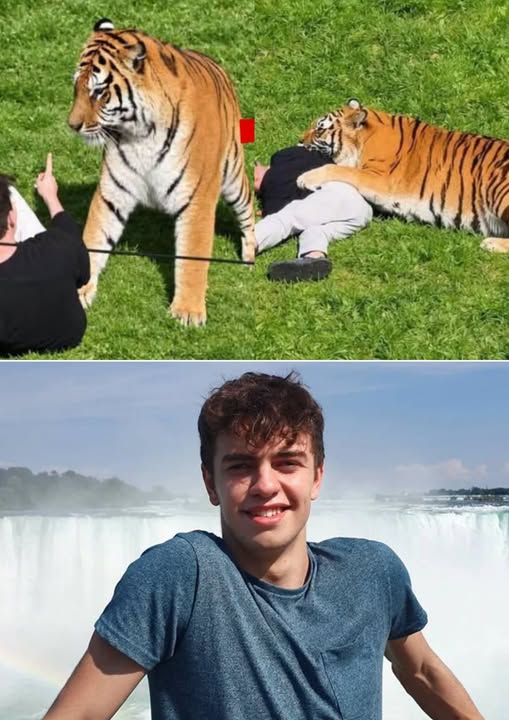 May be an image of waterfall