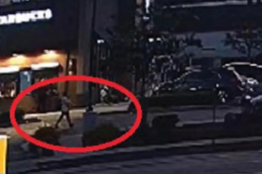 Surveillance footage of Yuriana Julia "Juli" Pelaez Calderon in South Los Angeles.