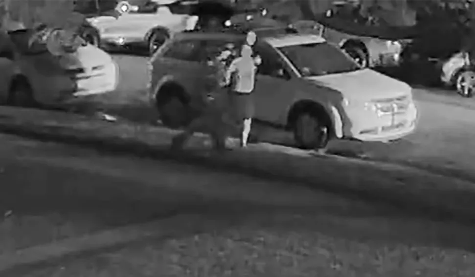 Surveillance footage showing Ismael Pinedalopez standing near a parked car.