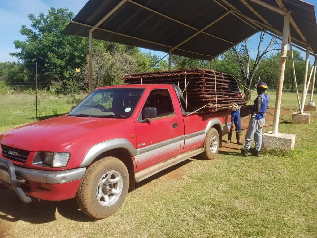 A red Isuzu KB station wagon loaded with wooden posts under a shelter outdoors.
