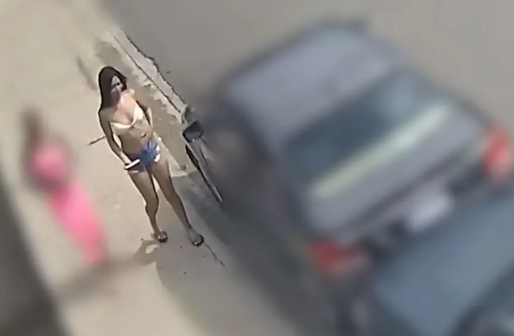 Surveillance video frame showing a woman standing next to a car.